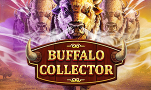 vua trò chơi Buffalo Collector